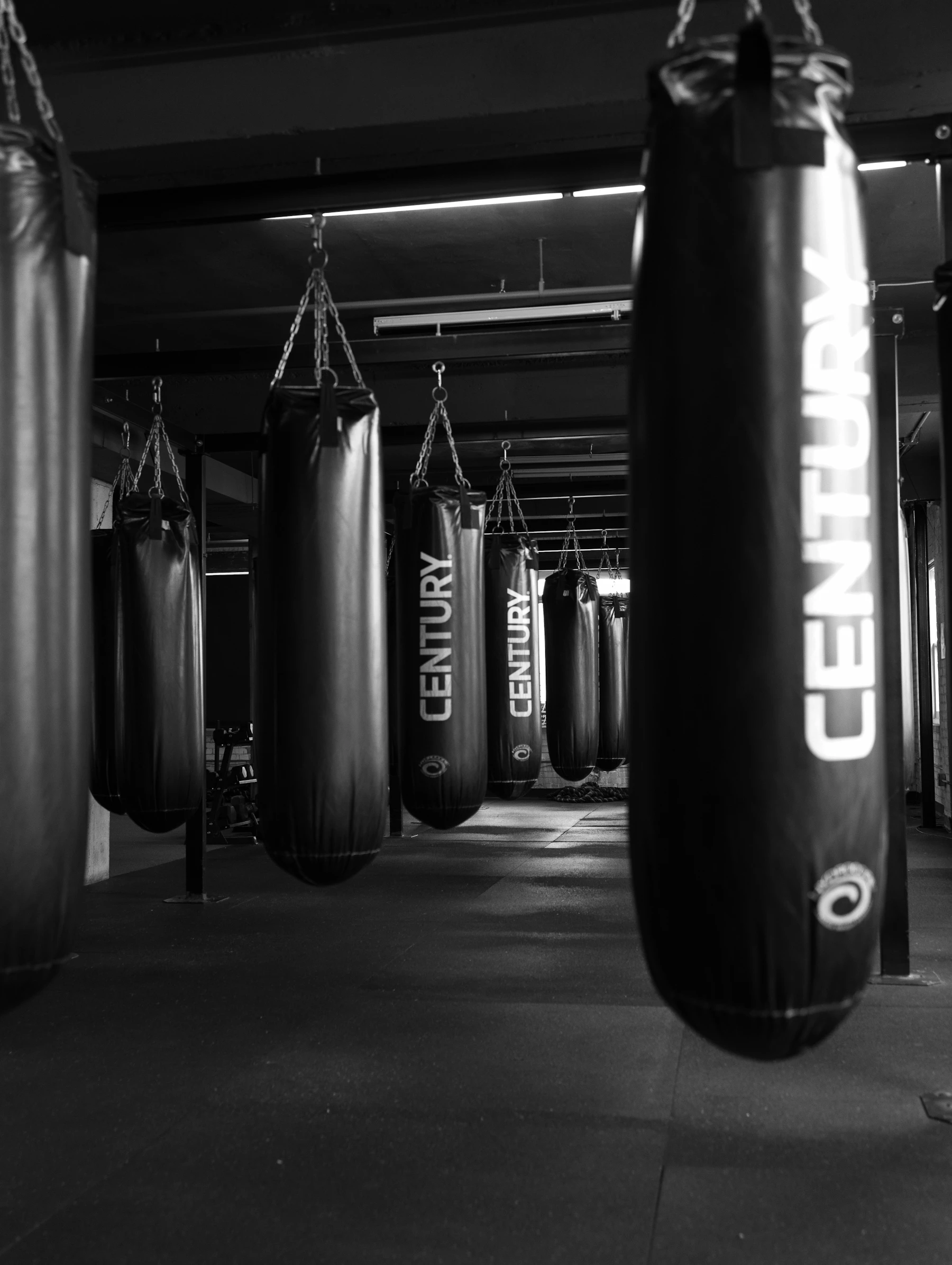 A real boxing gym with heavy bags